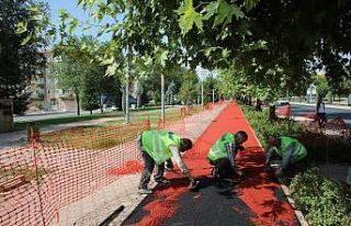Elazığ’da yürüyüş yollarında yenileme çalışması
