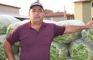 Fasulye fiyatlarında düşüş başladı