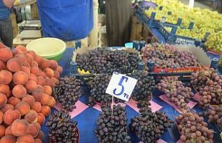 Faydası saymakla bitmiyor