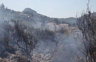 Fethiye’deki yangın kısa sürede söndürüldü