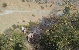 Fıstık bahçelerinde çıkan yangın, güvenlik...