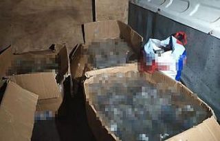 Gaziosmanpaşa’da çay ocağına sahte içki operasyonu