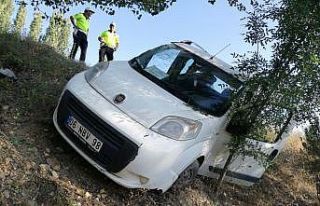 Hafif ticari araç yoldan çıktı : 1 yaralı