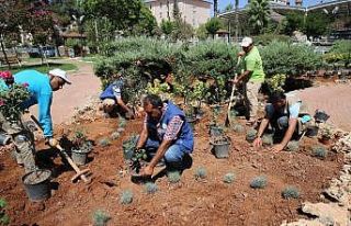 Haliliye’de parklar güzelleşiyor