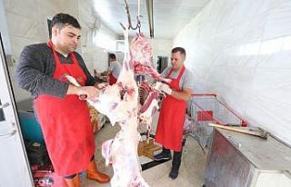 Hayat Ağacı’na 742 hisse