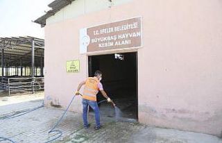 Hijyenik bir bayram için belediye ekipleri sıkı...