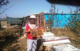 Hisarcıklı bal üreticileri yüksek rekolte bekliyor