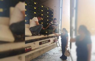 Iğdır’dan Nahcivan’a fide ihracatı gerçekleşti