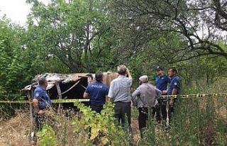 İncir toplarken boynundan asılan adam öldü