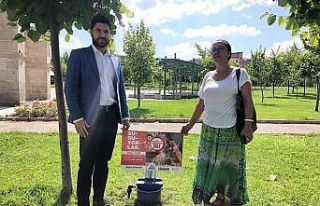 Isparta Belediyesi’nden sokak hayvanları için...