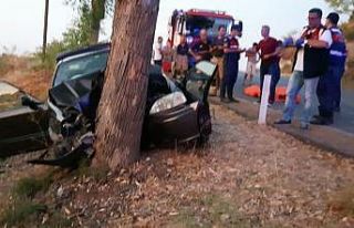 İzmir’de Otomobil ağaca çarptı: 3 ölü, 1 yaralı