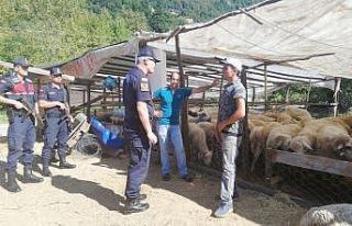 Jandarmadan kurbanlık satıcılarına sahte para...