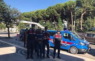 Jandarmadan uyuşturucu operasyonu: 4 tutuklama