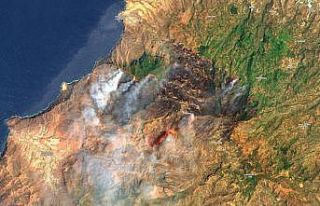 Kanarya Adaları’nda yangın kontrol altına alınıyor