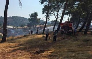 Kaş’ta anız yangını