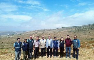 Kayseri Orman Bölge Müdürü Diltemiz Yozgat’ta