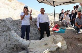 Kayseri’de 7 buçuk milyon yıllık ’Choerolophodon’...