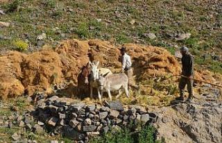Kış çalışmaları erken başladı