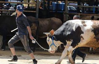 Kurban pazarında hareketlilik havadan görüntülendi