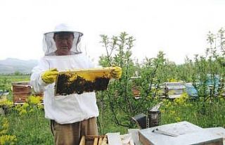 Kütahya’da geçen yıl 236 ton bal üretildi