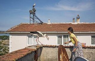 Leyleklerin göçü başladı...