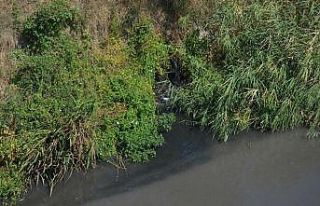 Lüleburgaz’da derenin rengi değişti