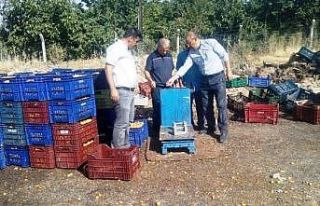 Malatya’da tartı ve kantar denetimi