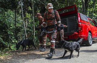 Malezya’da kayıp İrlandalı kızın ayak izi bulundu