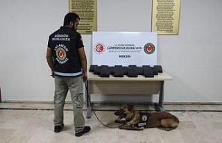 Mersin Limanı’nda 23 kilo 745 gram kokain ele geçirildi