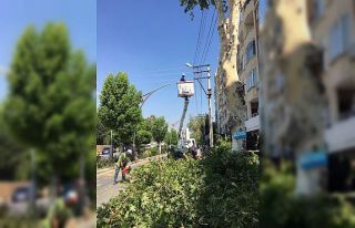 Mersin’de elektrik kesintisine karşı ağaçlar...