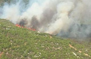 Muğla’da ikinci büyük orman yangını