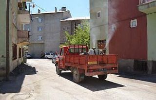 Muş Belediyesinden ilaçlama çalışması