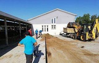 Nazilli’de Kurban Bayramı sonrası hijyen temizliği...