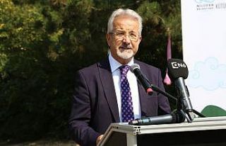 Onlar bu yaz kütüphanedeydi