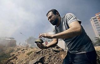Ot yangınları canlıların doğal yaşam alanlarına...