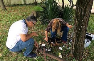 Otomobil çarpan köpeğe veterinerden ilk müdahale