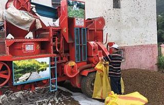 Patozcular bu yıl mutlu