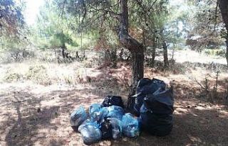 Pikamp’tan çevre temizliği kampı