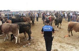 Polis, vatandaşları dolandırıcılara karşı uyarıyor