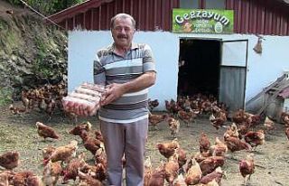 Polislikten emekli olununca organik tavuk çiftliği...