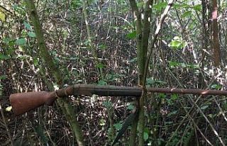 Sakarya’da tuzak ve tüfekle korunan kenevir tarlası...