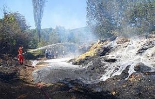 Saman yüklü tır yandı, alevler ormana sıçradı