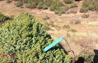 Şaphane’de su arama çalışmaları başarıyla...