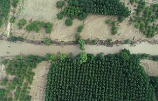 Sel bölgesinde bilimsel önlem alınmalı