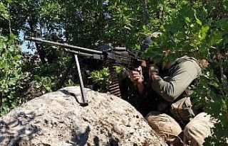 Siirt’te terör örgütü PKK’ya büyük darbe,...