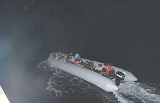 Sisam adasına kaçmaya çalışan düzensiz göçmenleri...