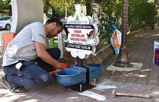 Sokak hayvanlarına beslenme kabı