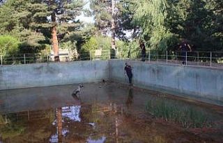 Sulama havuzuna düşen köpeği itfaiye kurtardı