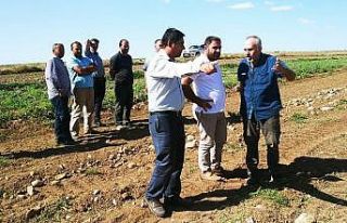 Sungurlu Ziraat odası taş toplama makinası alıyor