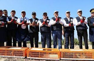 Tarım alanlarının yeni bekçileri doğaya bırakıldı